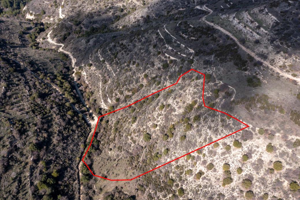 Limassol Property Field