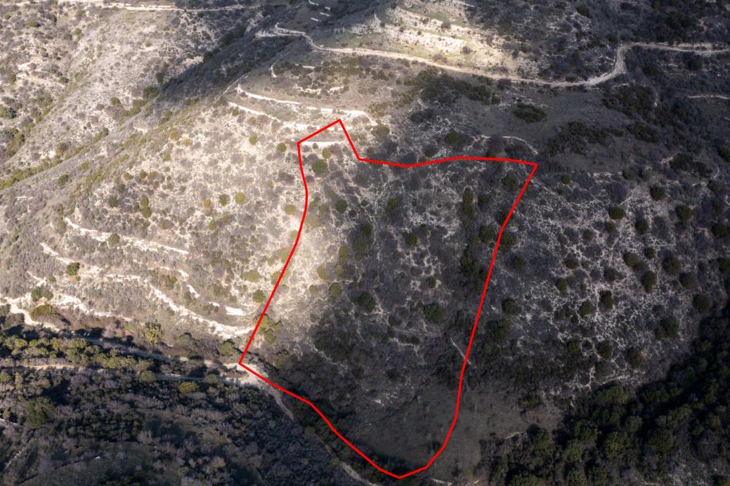 Limassol Property Field