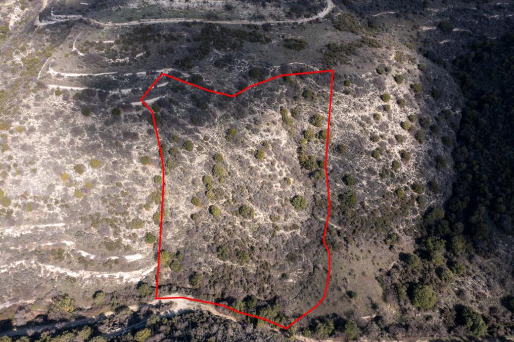Limassol Property Field