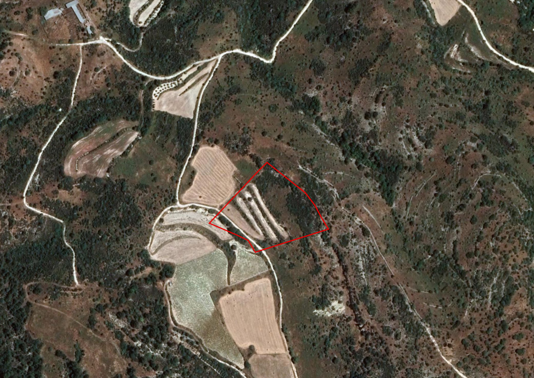 Limassol Property Field