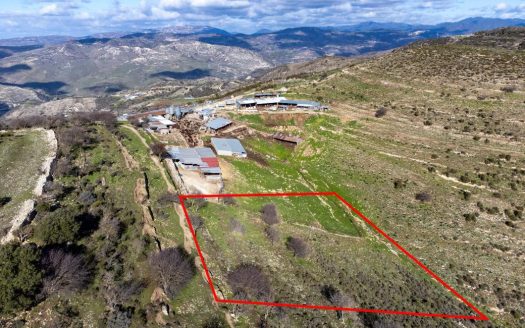 Limassol Property Field