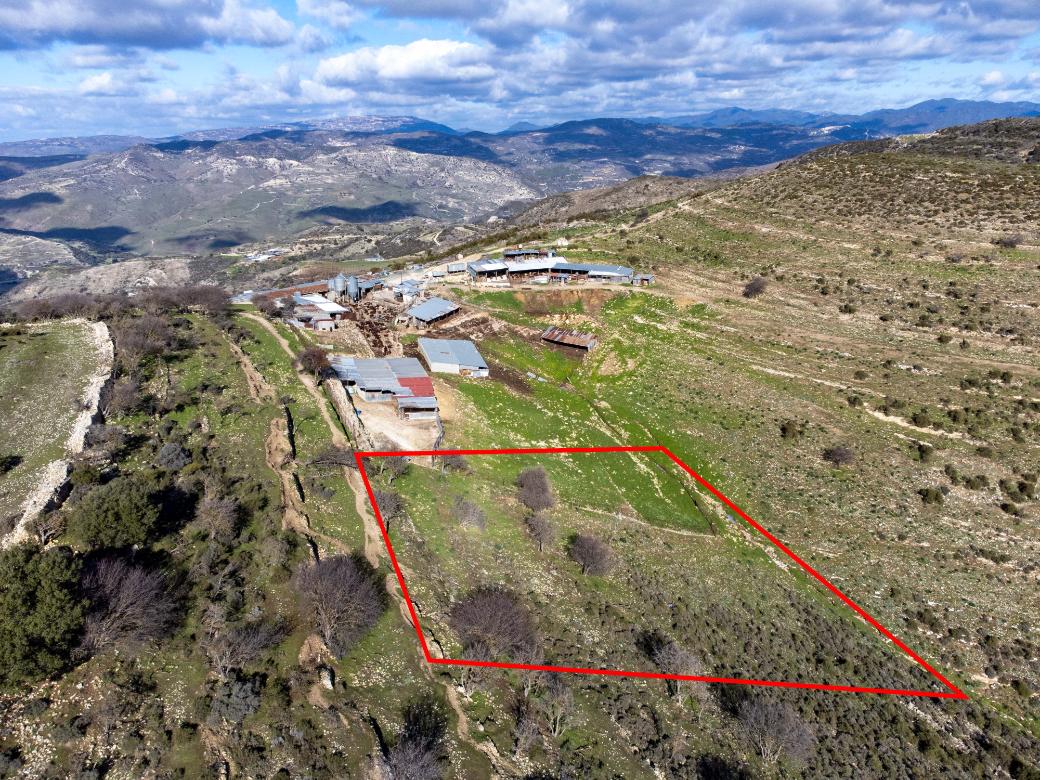 Limassol Property Field