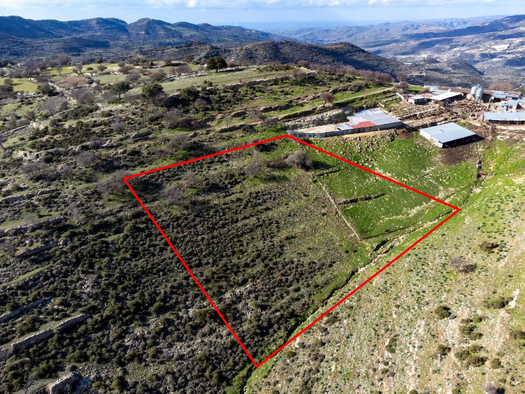 Limassol Property Field