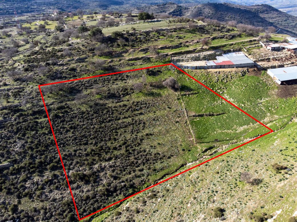 Limassol Property Field