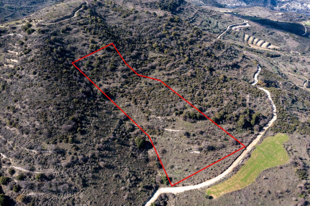 Limassol Property Field