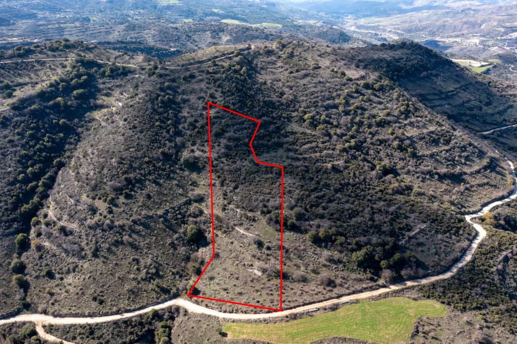 Limassol Property Field