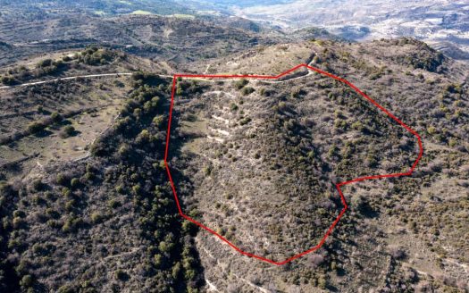 Limassol Property Field
