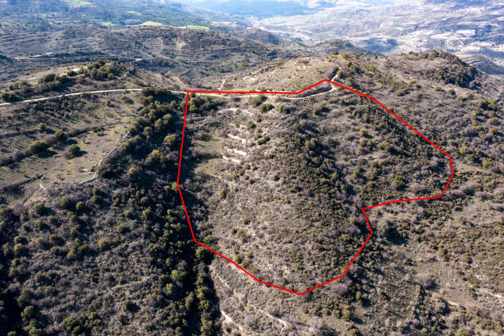 Limassol Property Field