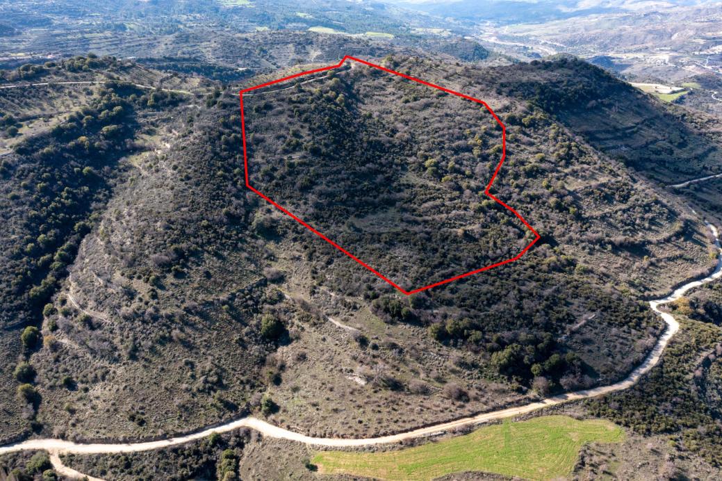 Limassol Property Field