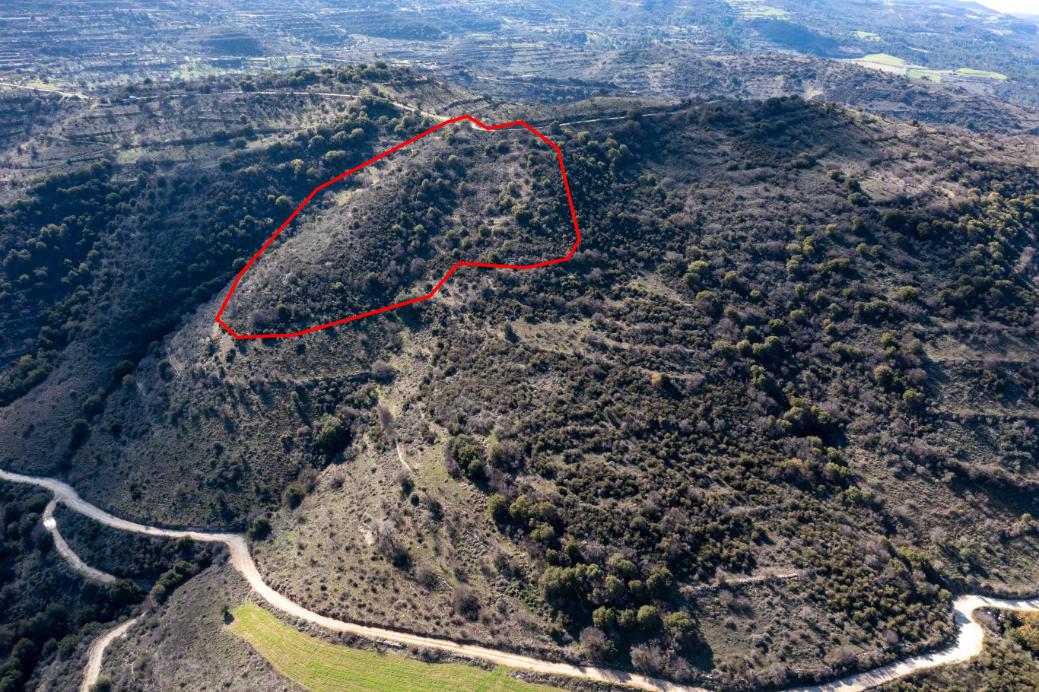 Limassol Property Field