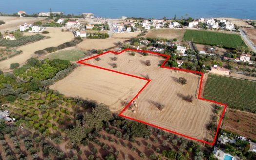 Larnaca Property Field in Agios Theodoros