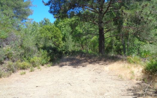 Limassol Property Field in Kato Platres
