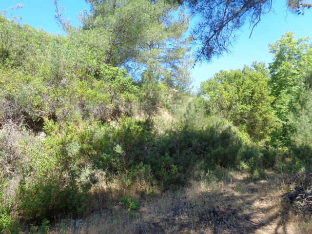 Limassol Property Field in Kato Platres