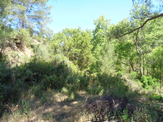 Limassol Property Field in Kato Platres