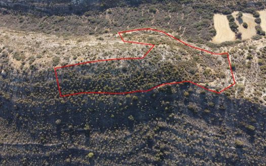 Limassol Property Field In Agia Phyla