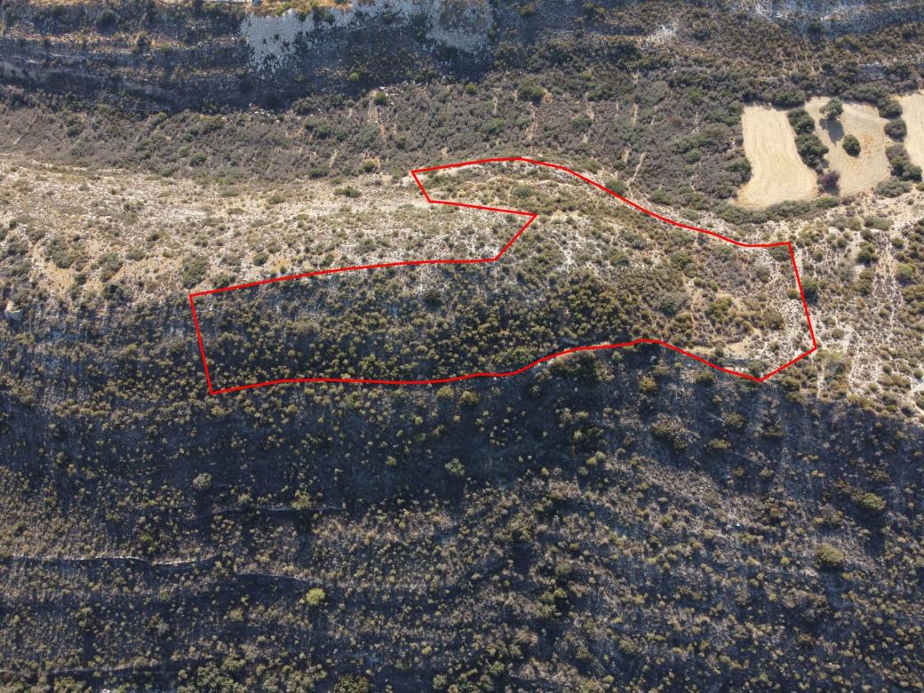 Limassol Property Field In Agia Phyla