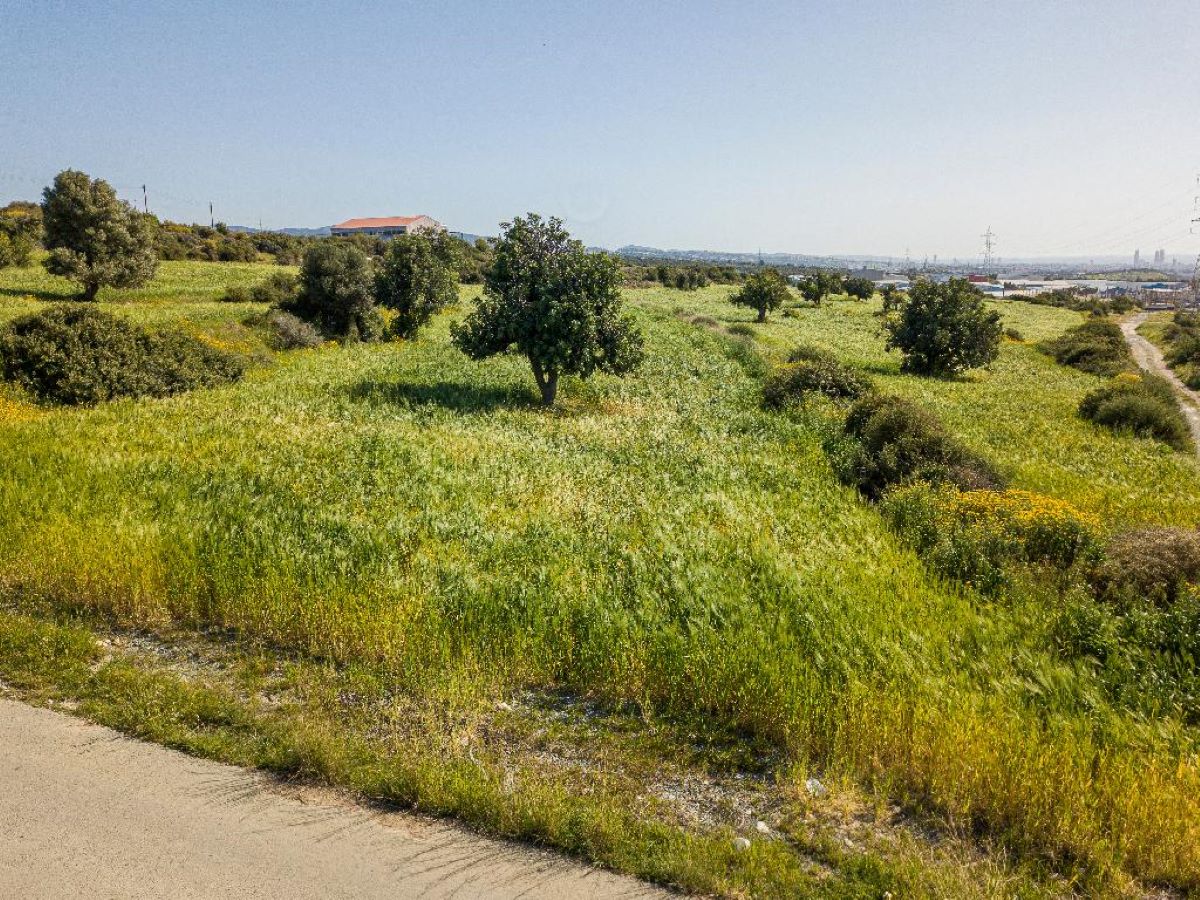 Limassol Property Agricultural Plot – 20.068m2