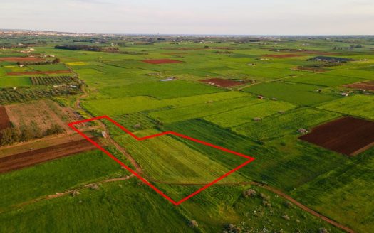 Famagusta Property Field