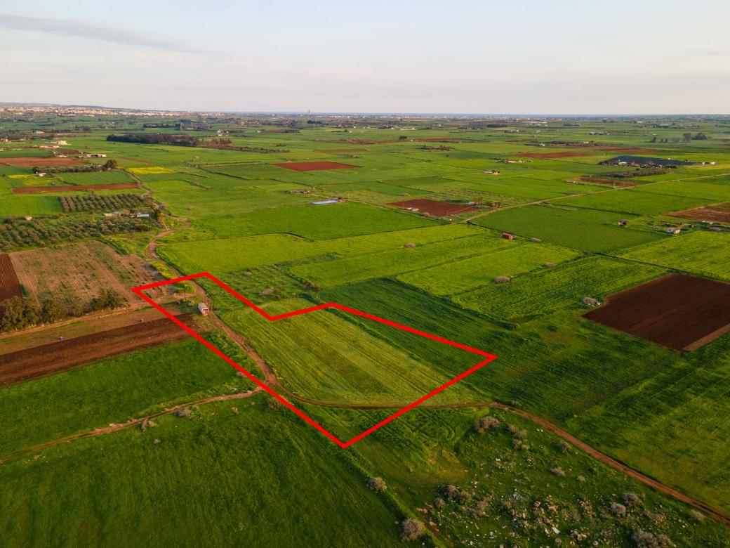 Famagusta Property Field