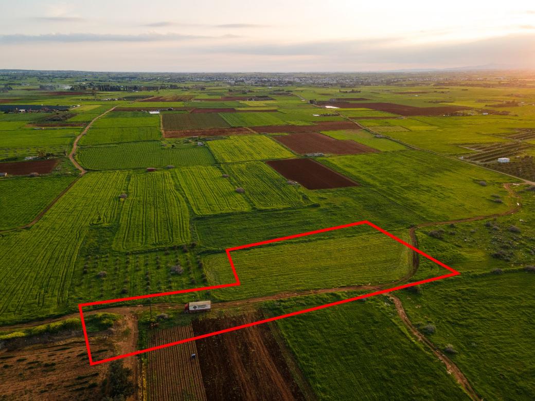 Famagusta Property Field