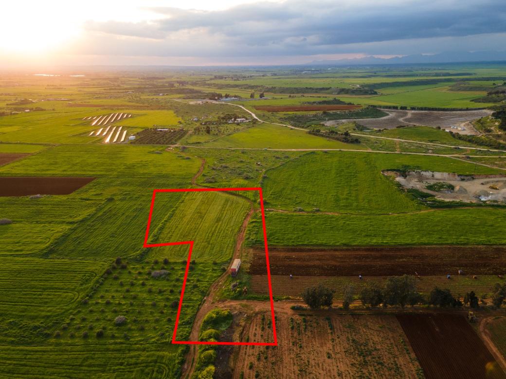 Famagusta Property Field
