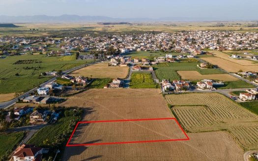 Larnaca Property Shared Field
