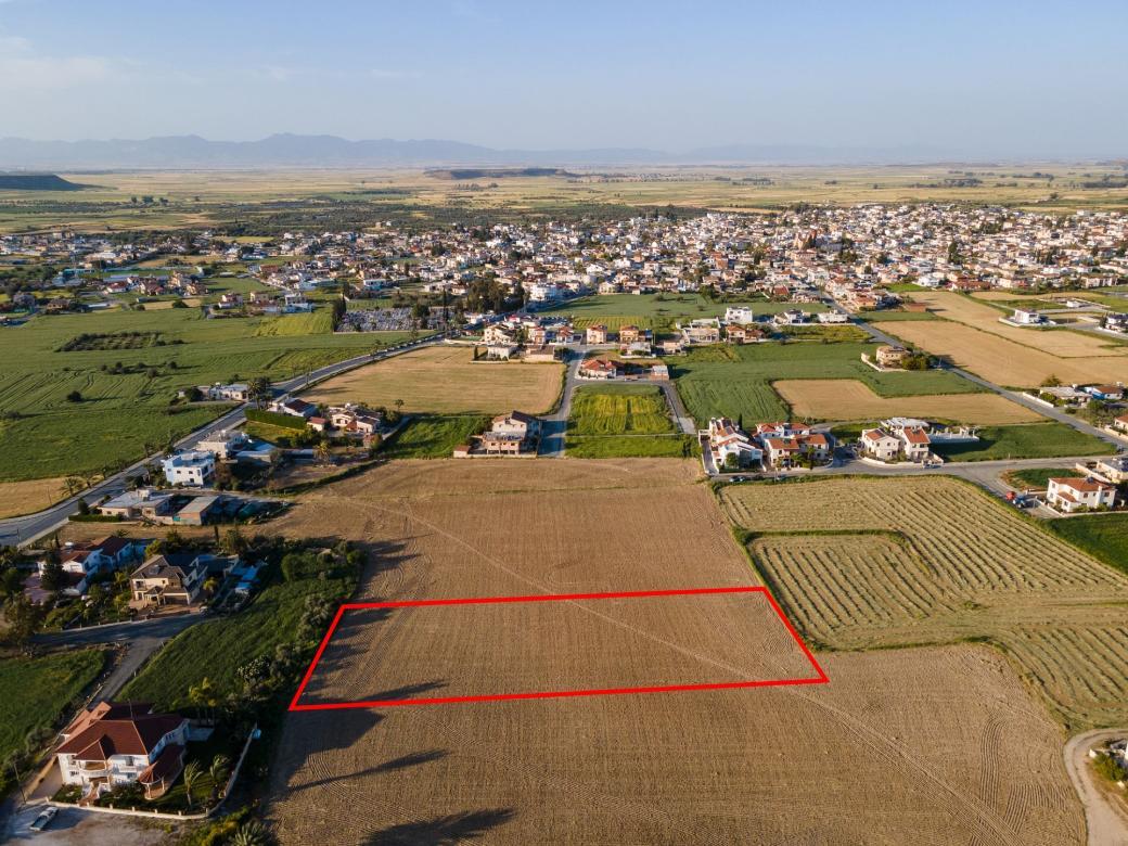 Larnaca Property Shared Field