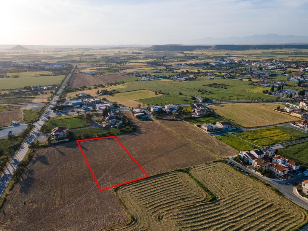 Larnaca Property Shared Field
