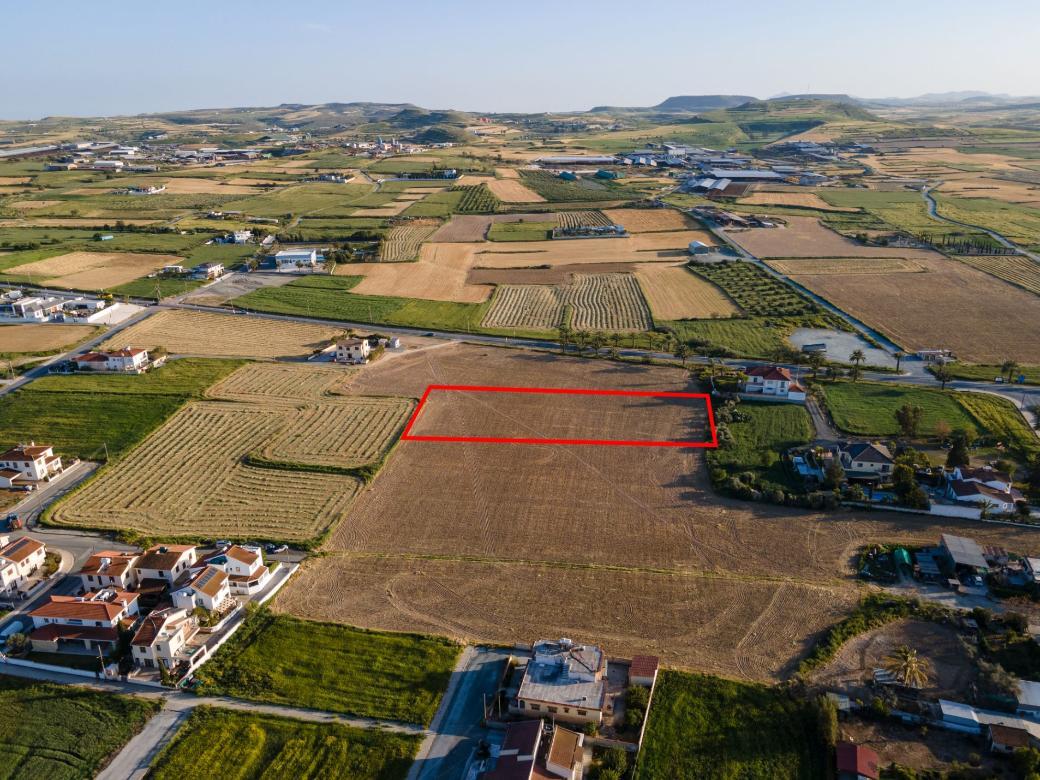 Larnaca Property Shared Field
