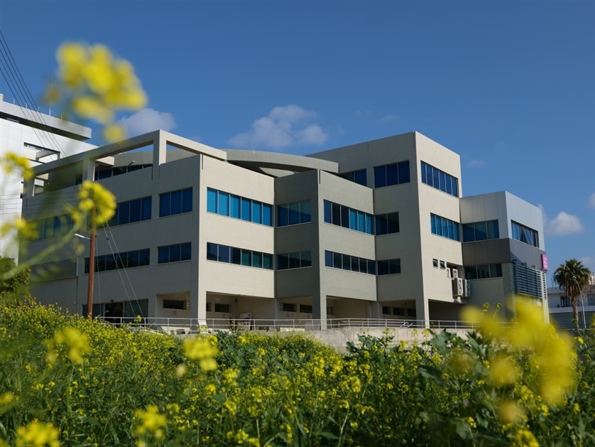 Limassol Property Luxury Large Office Space