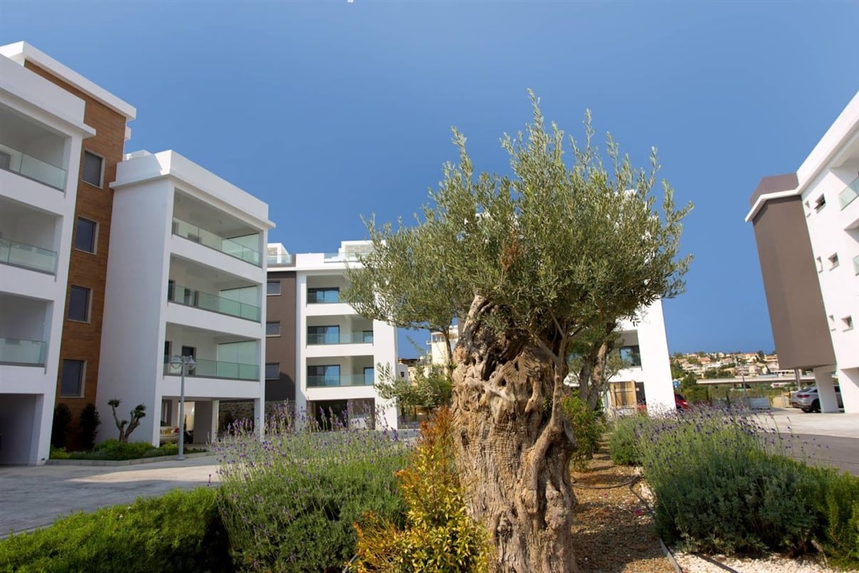 Limassol property Whole Floor 4-Bedroom Apartment