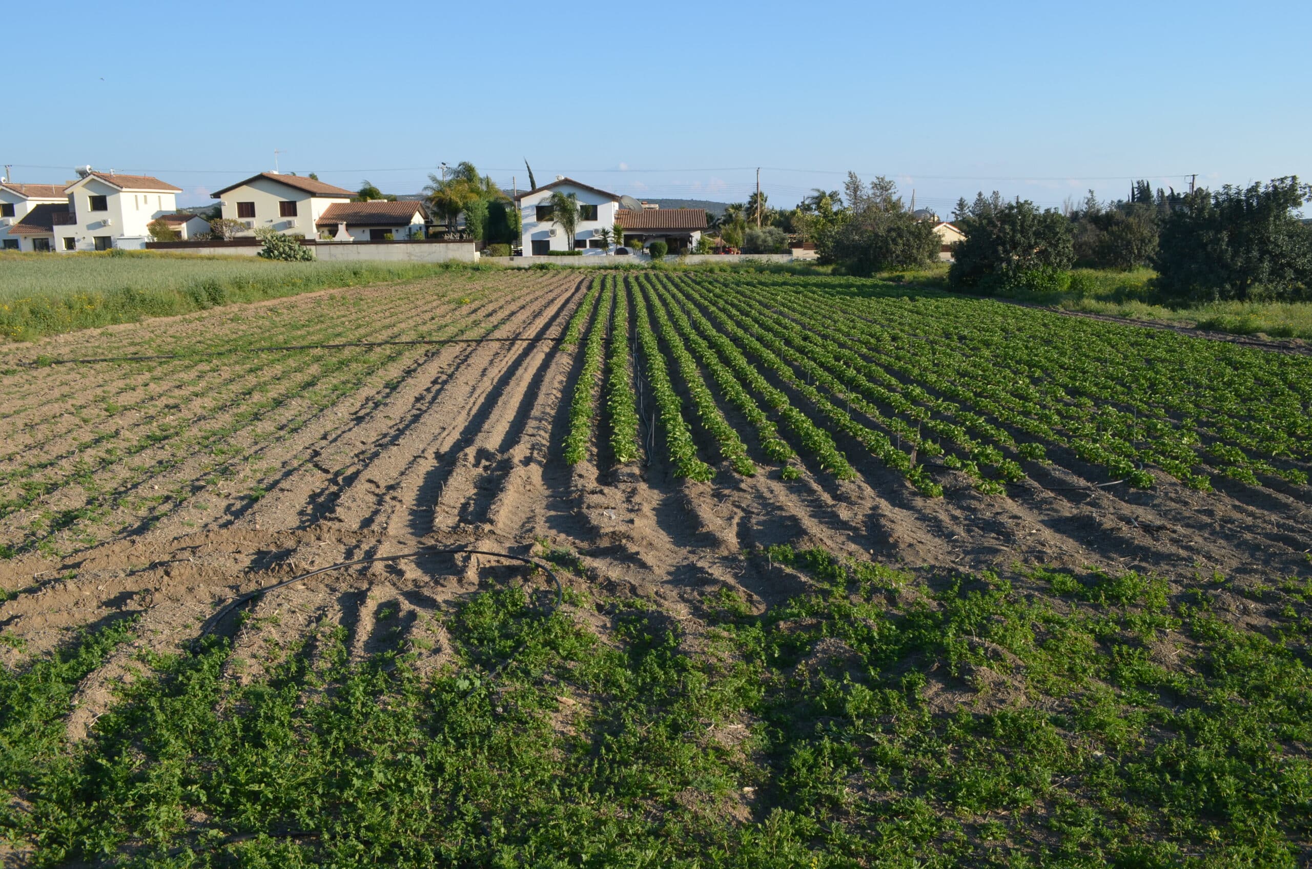 Limassol Property Residential Plot – 3.100 m2
