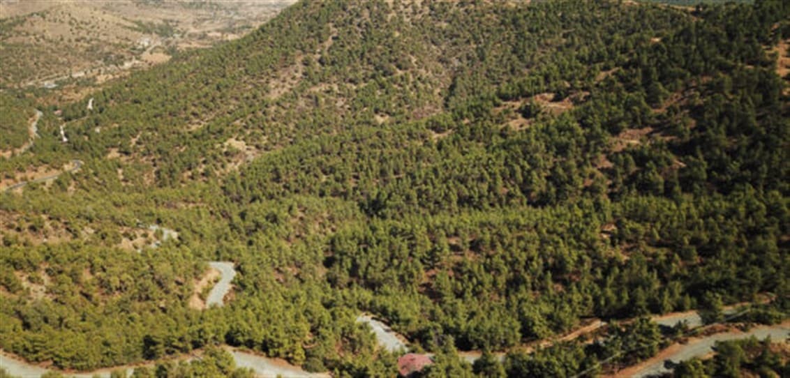 Nicosia Property Land Parcel in Gourri