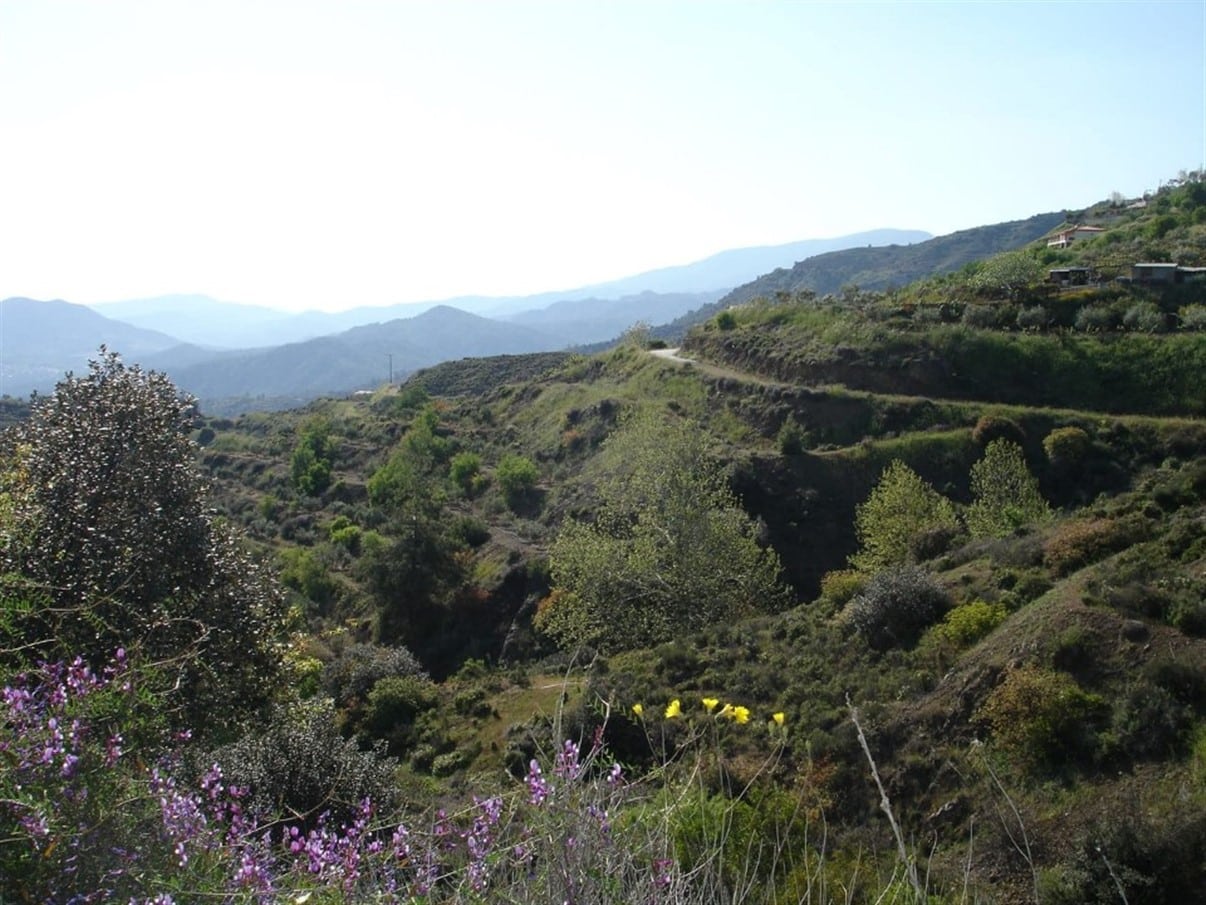 Limassol Property Agricultural Plot – 11.038 m2