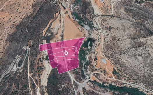 Limassol Property Agricultural Field