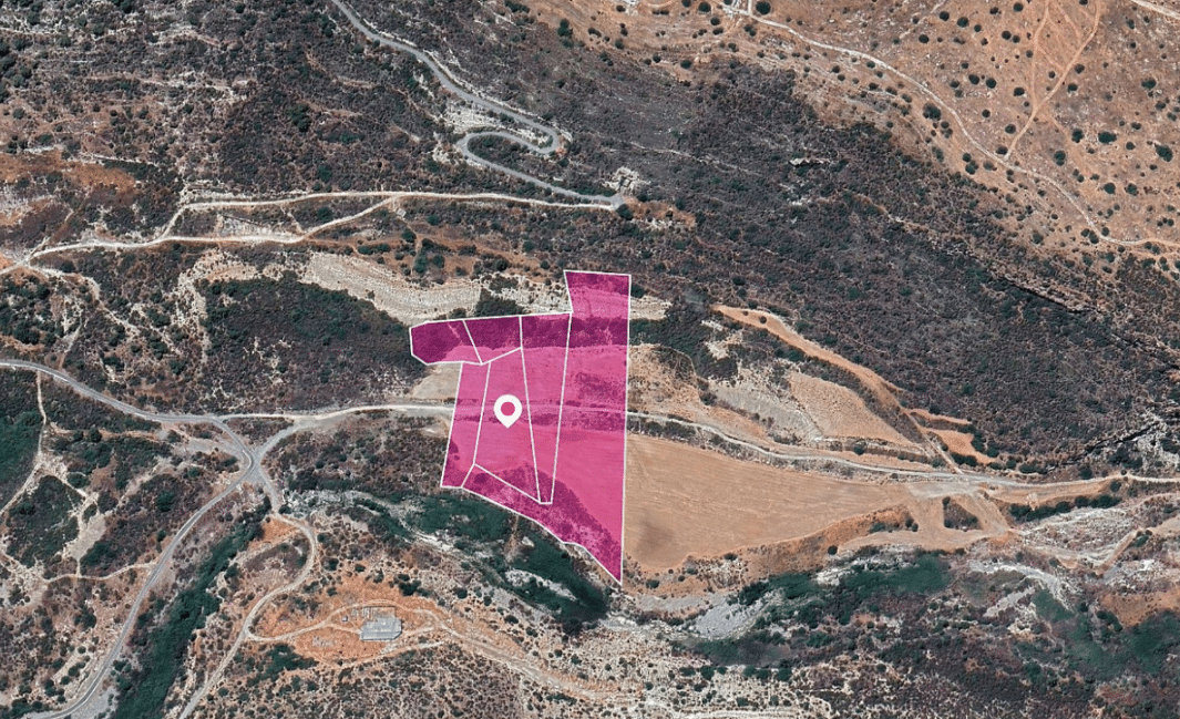 Limassol Property Agricultural Field