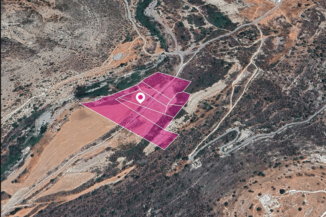 Limassol Property Agricultural Field