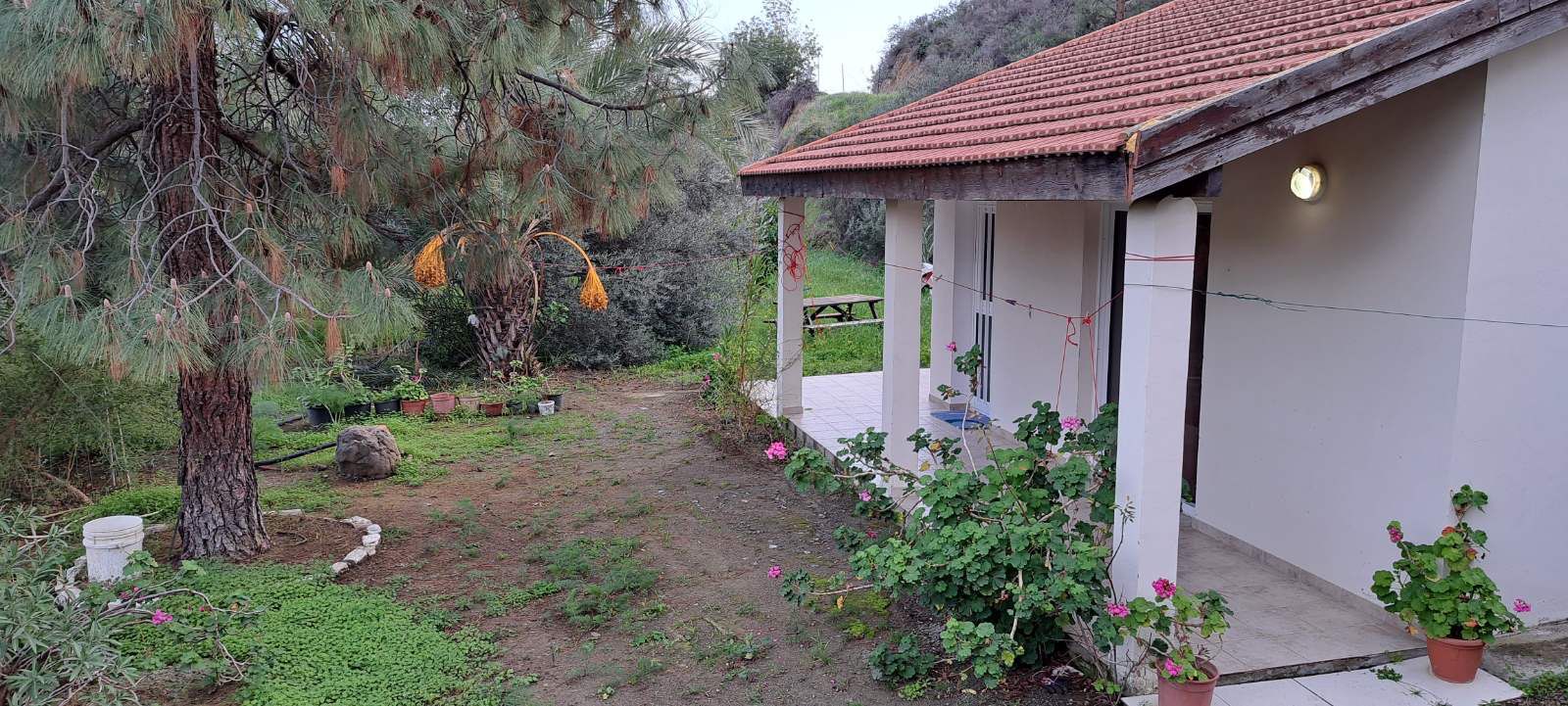 Limassol Property Charming One Bedroom House