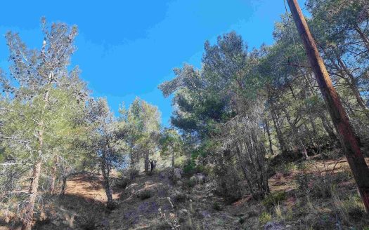 Limassol Property Exceptional Residential Plot in Moniatis-21.690 m2