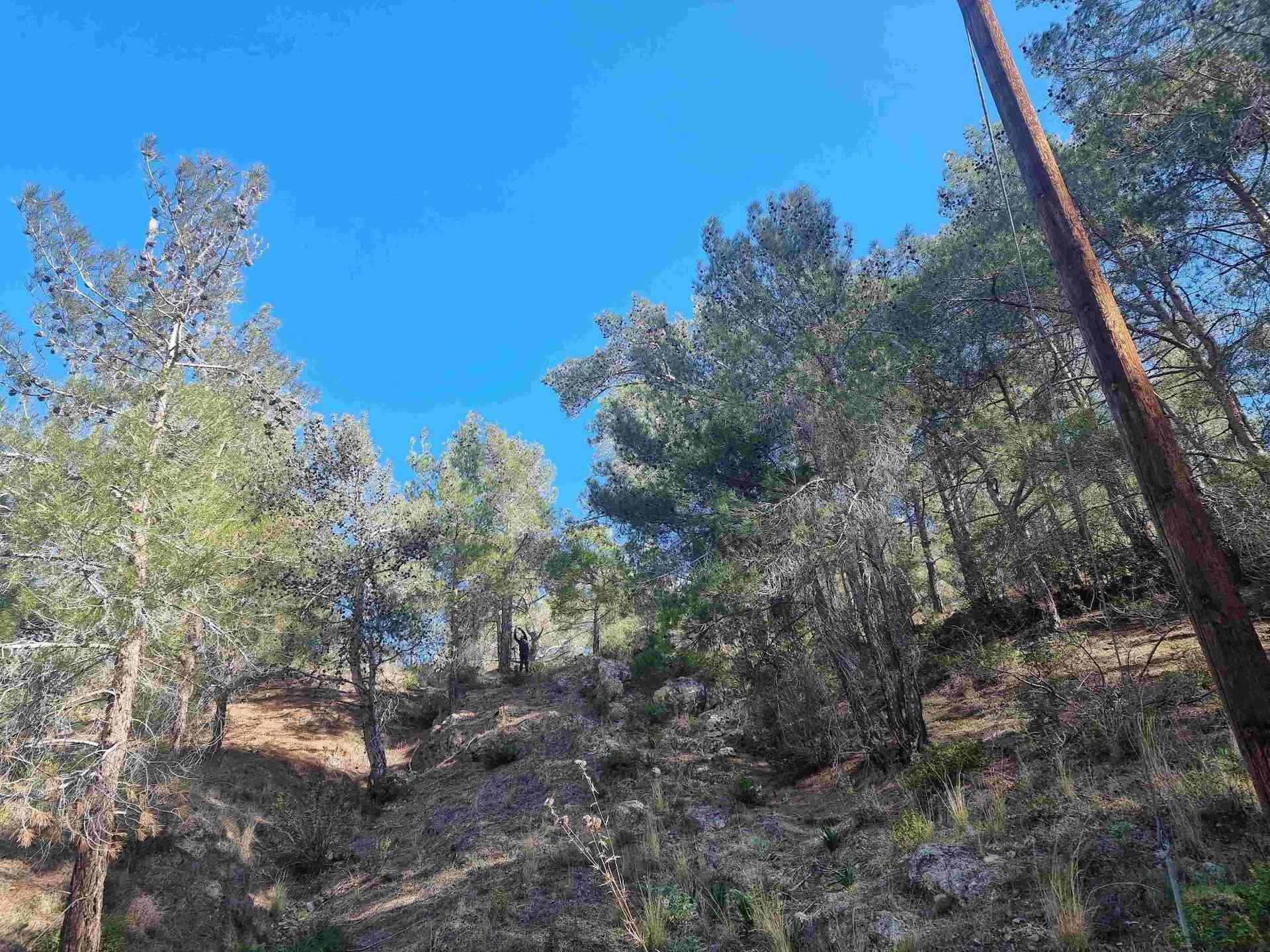 Limassol Property Exceptional Residential Plot