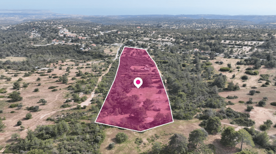Limassol Property Shared Field