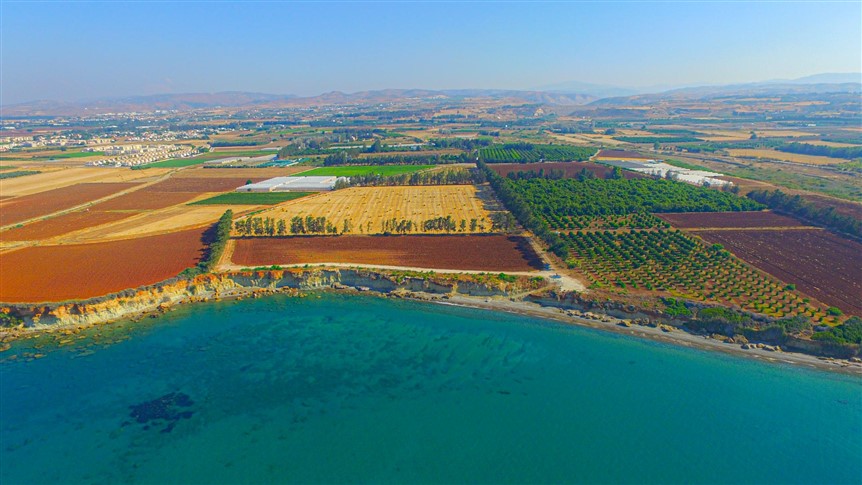 Paphos Property Beachfront Land Parcel In Mandria