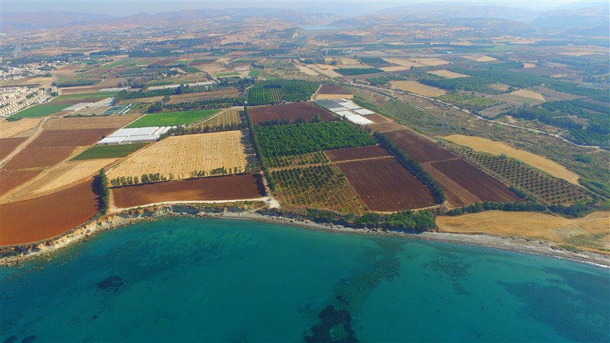 Paphos Property Beachfront Land Parcel In Mandria