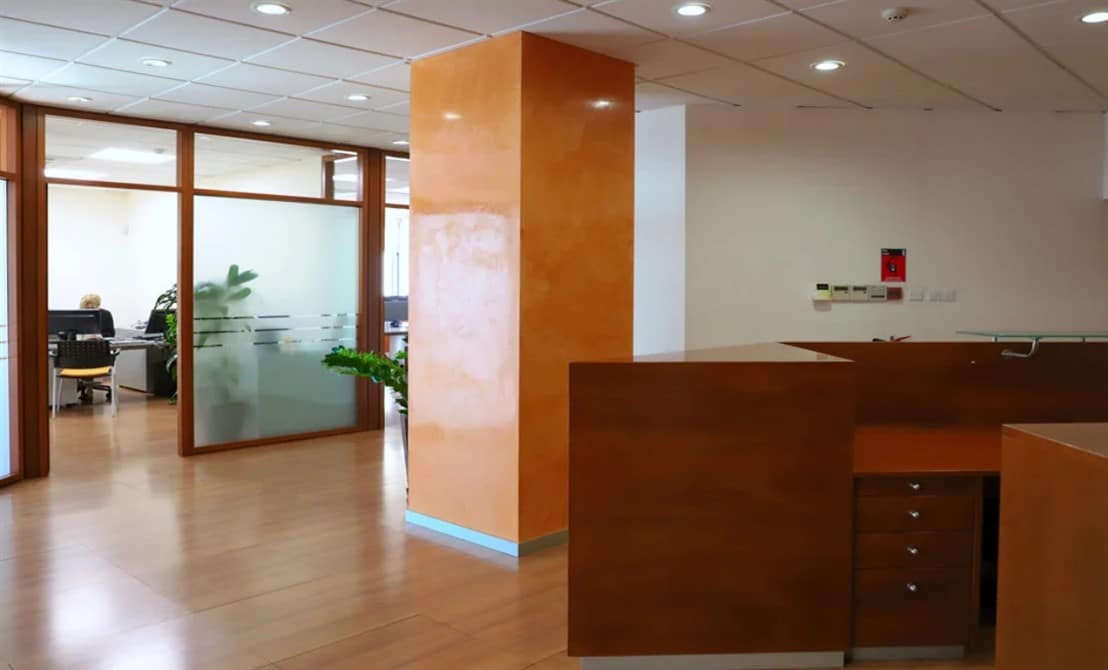 Nicosia Property Prestigious Office