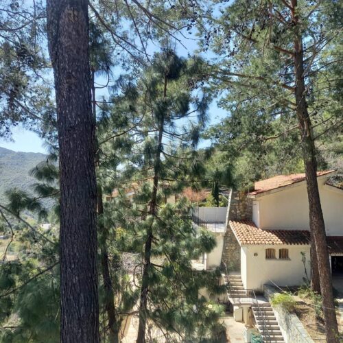 Limassol Property 4 Bedroom Villa in Saittas