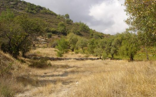 Limassol Property Residential Plot
