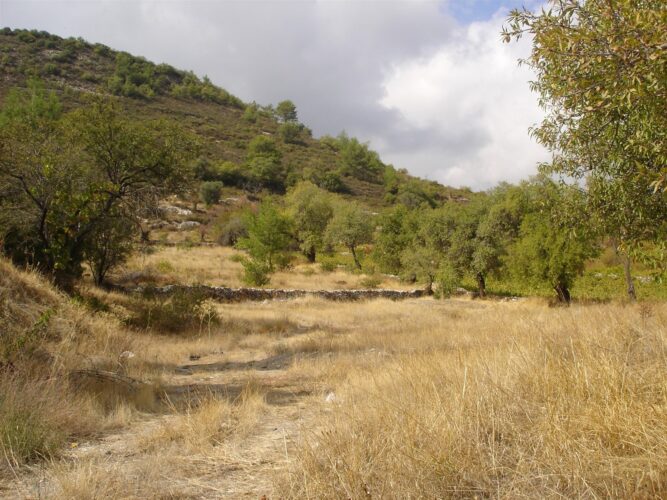 Limassol Property Residential Plot