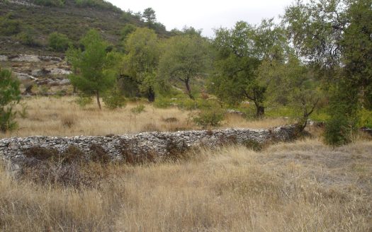 Limassol Property Large Residential Plot In Pera Pedi