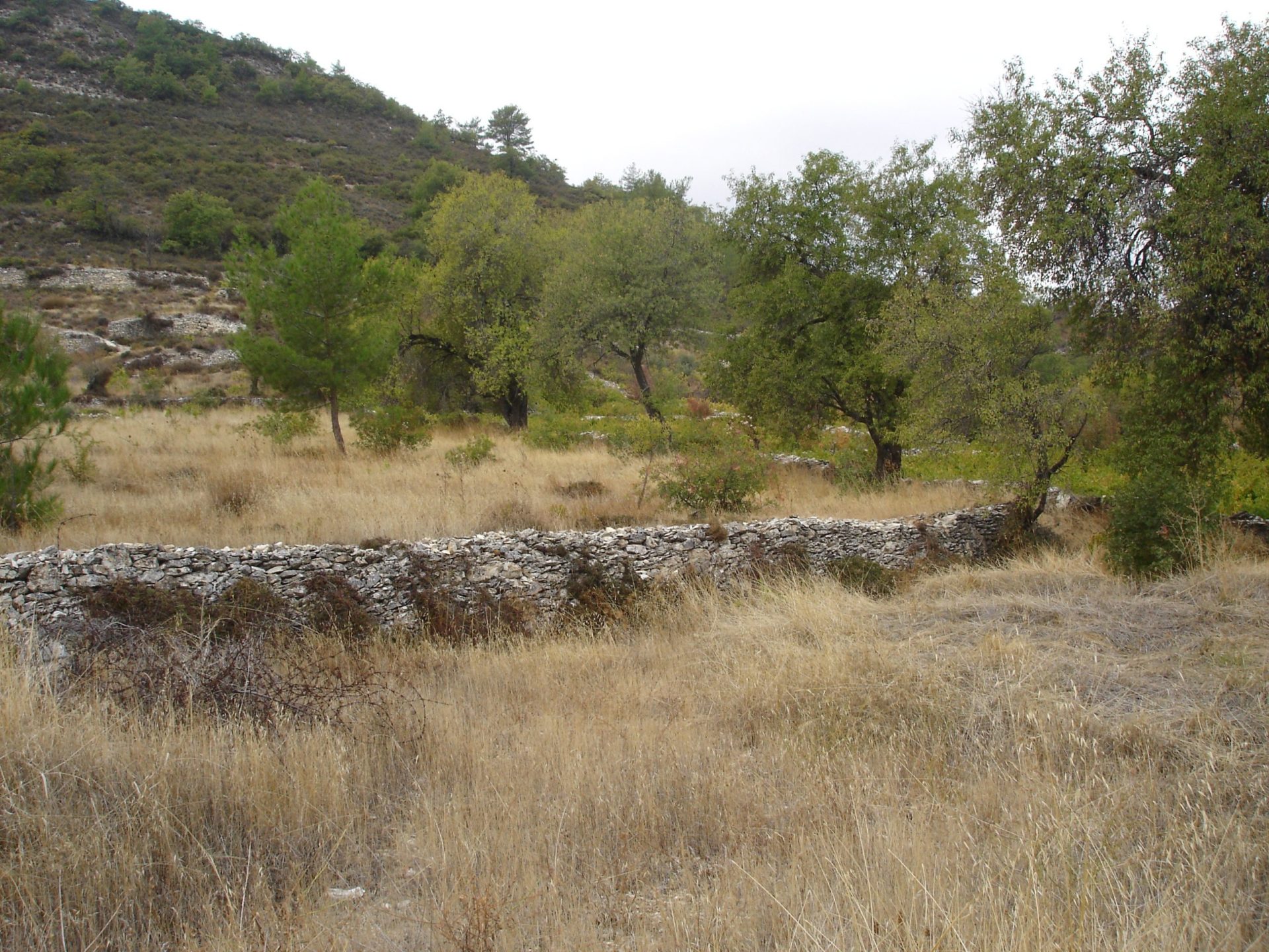Limassol Property Large Residential Plot In Pera Pedi