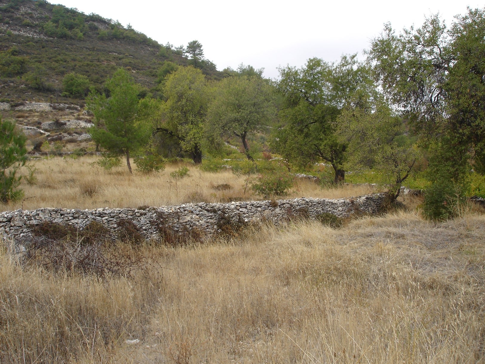 Limassol Property Residential Plot
